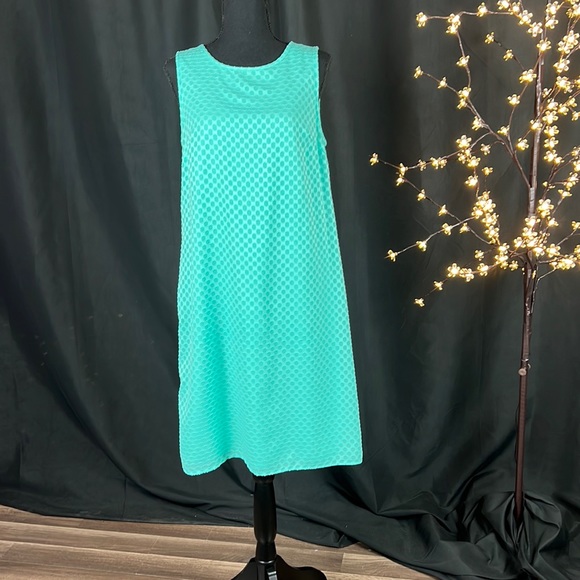 Christopher & Banks Seafoam Shift Dress - Picture 1 of 5